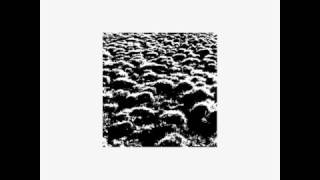 Untitled 09