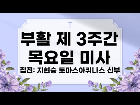 영상썸네일