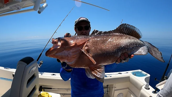 How to Catch and Find Red Grouper Offshore *My Tips, Tricks & Guide*