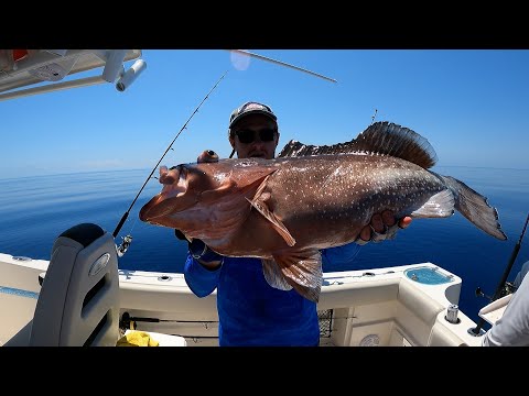 How to Catch and Find Red Grouper Offshore *My Tips, Tricks & Guide*