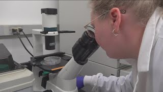 UC San Diego researchers resurrected old diabetes drug without the unwanted side effects