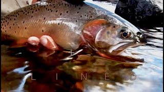 FLY FISHING YELLOWSTONE NATIONAL PARK-LINED with Chris Walklet