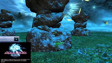 Garuda First Person View, No UI With PUGs