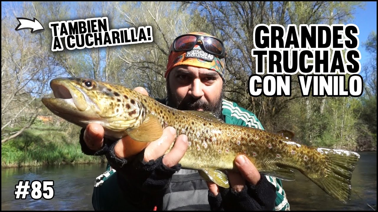 Buscando en las orillas Grandes Truchas con Vinilo | También a cucharilla! Abril 2024