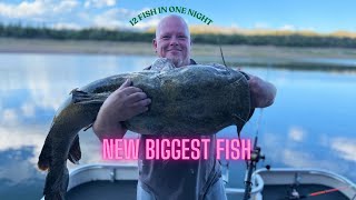 Arizona Flathead Catfishing. Big fish were caught!