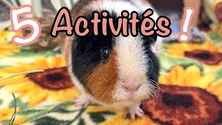 5 activités simples pour divertir votre cochon d'Inde sans vous ruiner!