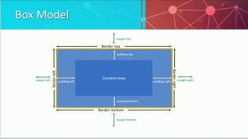 CSS Colors, Box Model, Padding And Margin | Module 3
