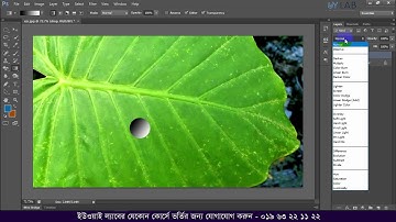 Adobe Photoshop Water Drop Effect Bangla Tutorial - UY LAB