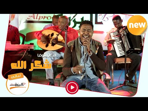 يا عيني يا عيني شكرالله عزالدين   اغاني سودانية2020 ليالي البروف شكر الله