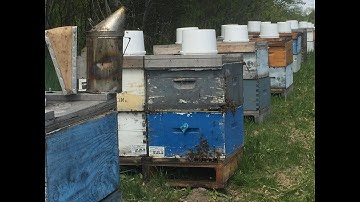 2019 Spring REWIND - Brood Nest Management