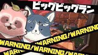 【Splatoon3】約1か月ぶりのスプラ配信がビッグビッグランで平気だろうか・・・【いぬたぬ参加型】