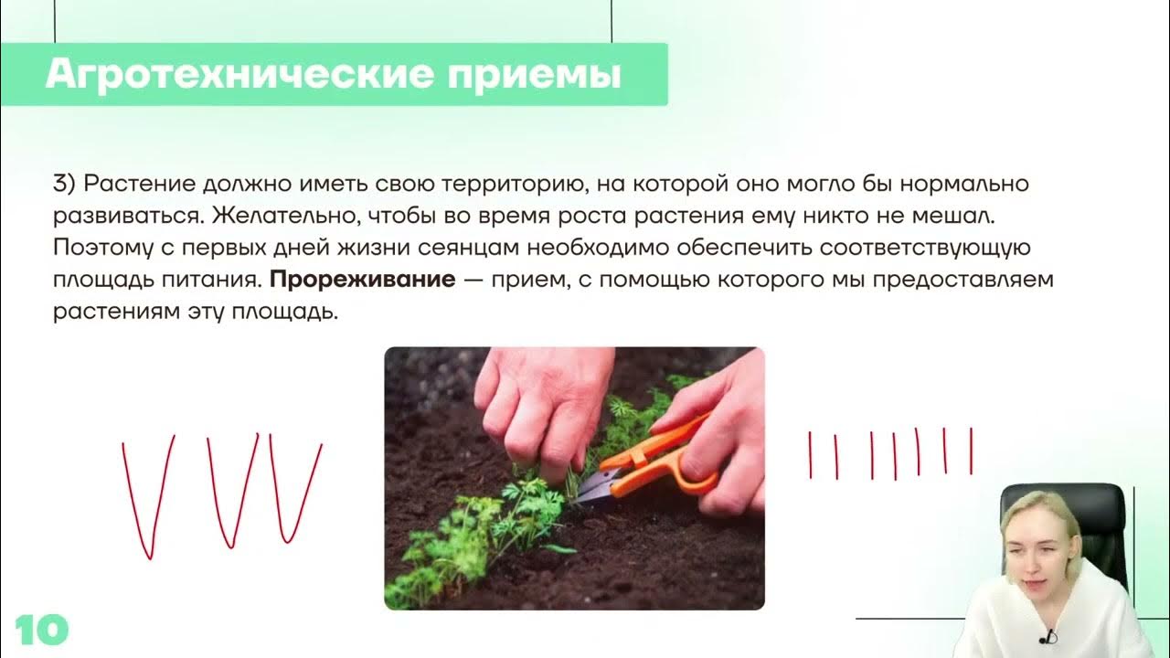 агротехнические методы защиты растений. агротехнические приемы. агротехнические приемы огэ биология. пикировка сеянцев капусты. агротехнические приемы огэ биология.