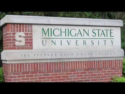 Michigan State University: