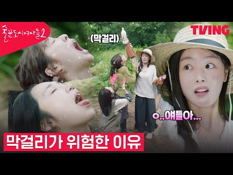 [술꾼도시여자들2] 술, 담배, <strong>거울을</strong> 끊은 자연인 술도녀, 막걸리에 잠시 이성 잃다 | 2화 클립