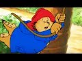 The Adventures of Paddington Bear - Paddington in the Galapagos | Classic Cartoons for Kids HD
