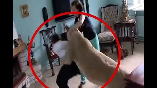 León ataca a dueños en su casa; vive como mascota