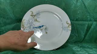 Royal Worcester Essentials Range Nectar China Dinner Plate