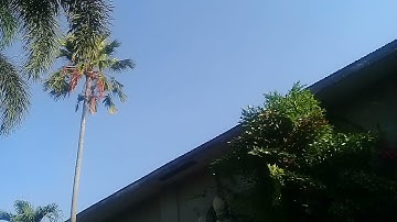 Superman | Flying and Landing Effect | Kinemaster