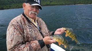 Cascade Lake, ID Yellow Perch Fishing