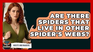 Are There Spiders That Live In Other Spider