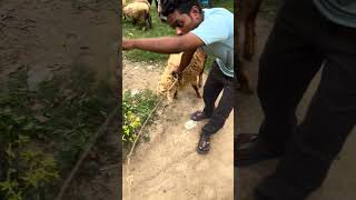 হঠাৎ আজকে ছাগল হাটে তার পর যা হলো 🙄