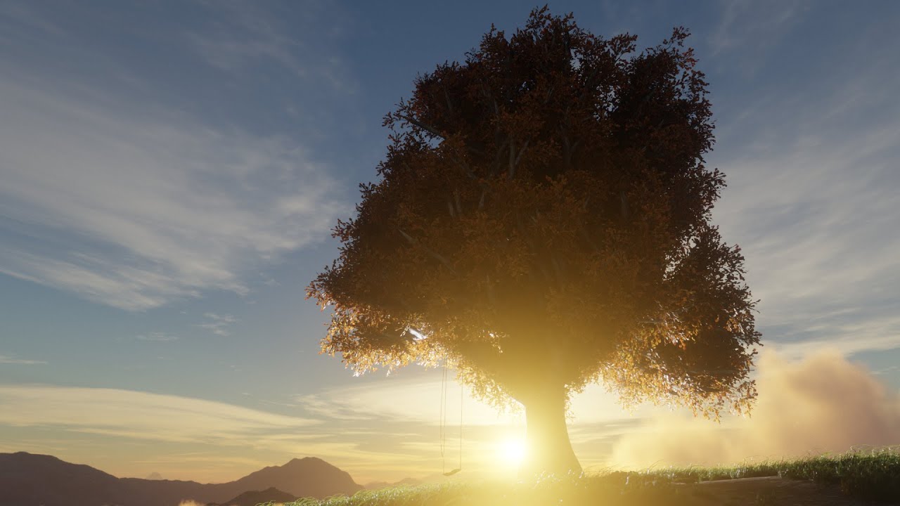 Memories of the Tree - An Animated Short Film About Memories, Nature ...