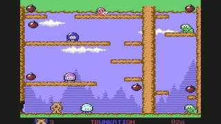 The Bear Essentials (C64) Gameplay