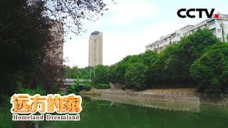 大运河：探访古运河水源地 水岸叠翠草色青 20201207 |《远方的家》CCTV中文国际