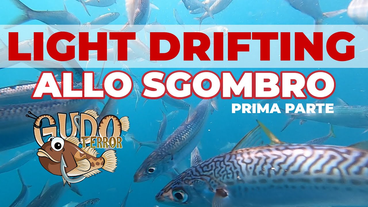 Light drifting allo sgombro con la Gudoterror