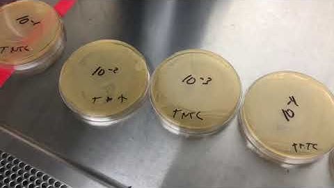 Lab 7 (Part 6 of 6) Calibration Graph and Serial Dilution 1