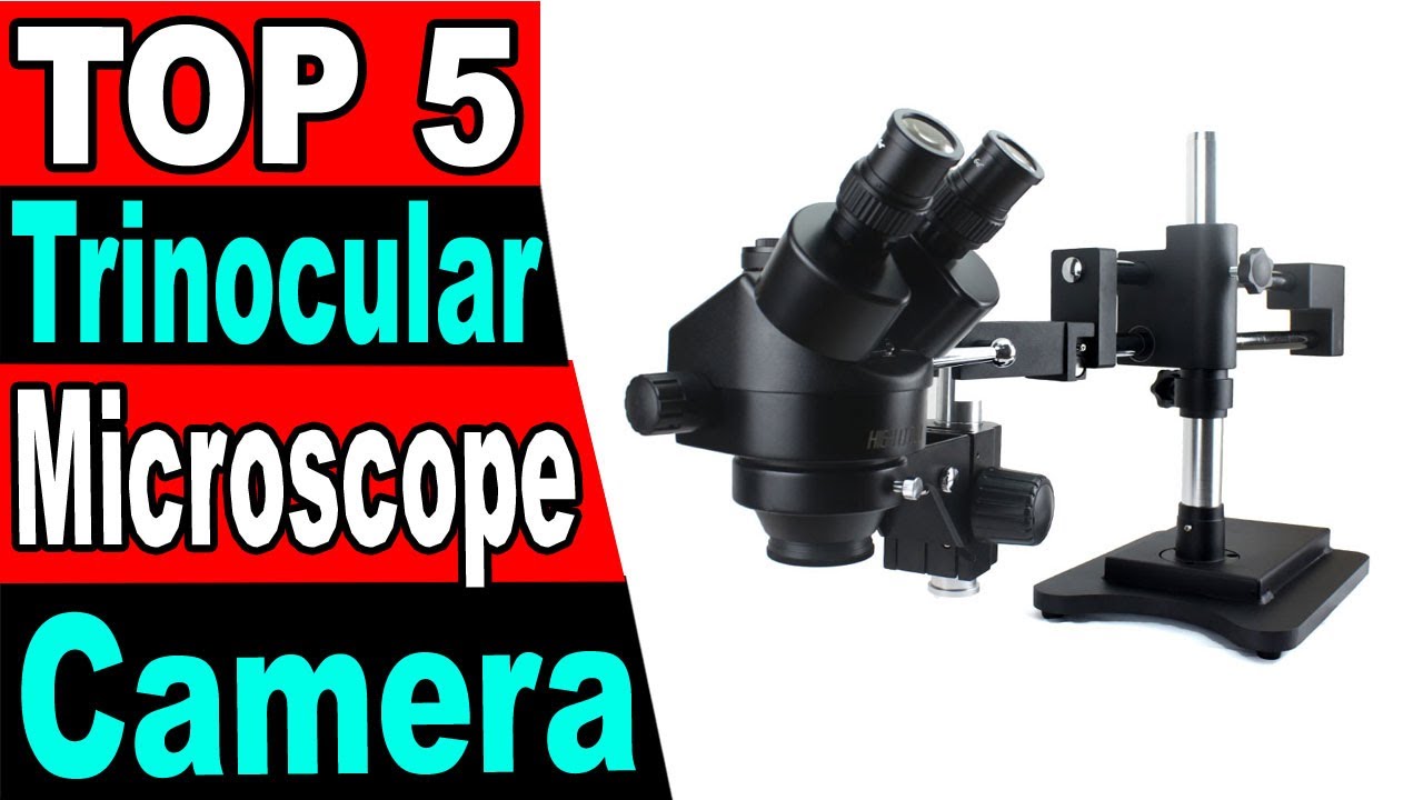 TOP 5 Best Trinocular Microscope Review 2023 YouTube