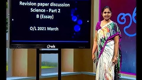 Grade 11 - Science (English Medium) - Revision ( 2nd Paper) 02  - P 13