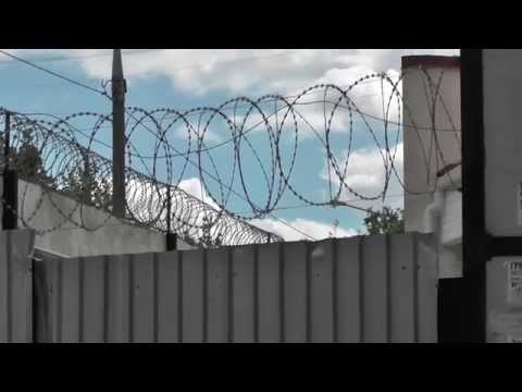 Video: Sârmă Ghimpată 