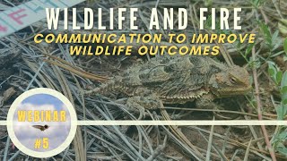 Wildlife and Fire: Communication to Improve Wildlife Outcomes