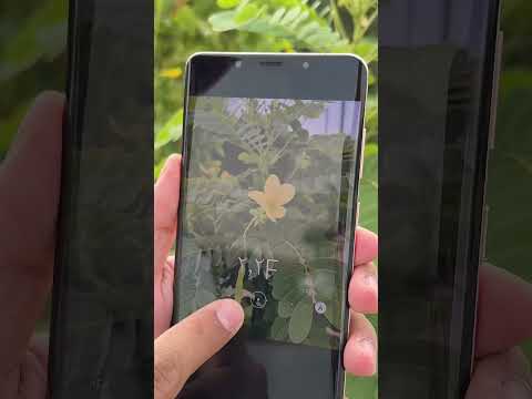 تحكم بفتحة العدسة وعزل الكاميرا الاحترافية مع   50 