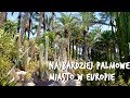 Hiszpania: Elche 🌴 Palmowy raj 25km od Alicante 🌴 oraz masoni, białe pawie i inne ciekaowstki...