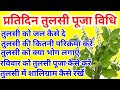 नित्य तुलसी पूजन विधि | तुलसी कब और कहां लगाएं |Tulsi puja mantra,Tulsi puja kaise kare