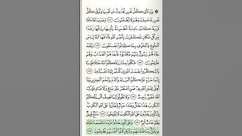 سورة النحل - من الآية 111 حتى الآية 128 آخر السورة