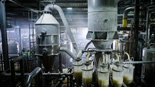 How Corn Starch Is Made | Inside a Corn Wet Milling & Starch Drying Factory