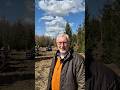 Spotlight Wiederbewaldung auf den DLG Waldtagen 2025 mit dem Pfanzelt #moritz live