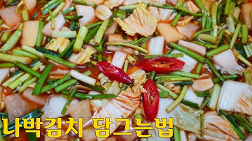 나박김치 맛있게 담는법 설명절음식으로 딱 맞는 김치 담그는법 심방골주부