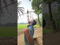 Bird animals Hunting 😯🤔 #birds #birdshunting #viral