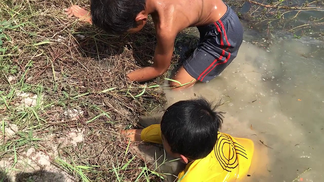 Wow ! Amazing children catch big crab - Smart kid catch crab in fiel  | Food