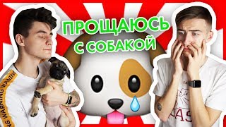 ПРОЩАЮСЬ С СОБАКОЙ Я УЛЕТАЮ