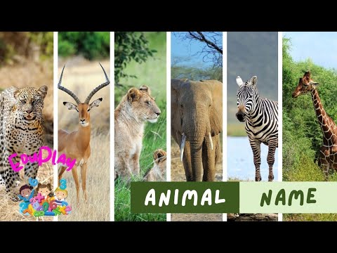 Decode Animal Names with Emojis: Fun & Educational Learning!
