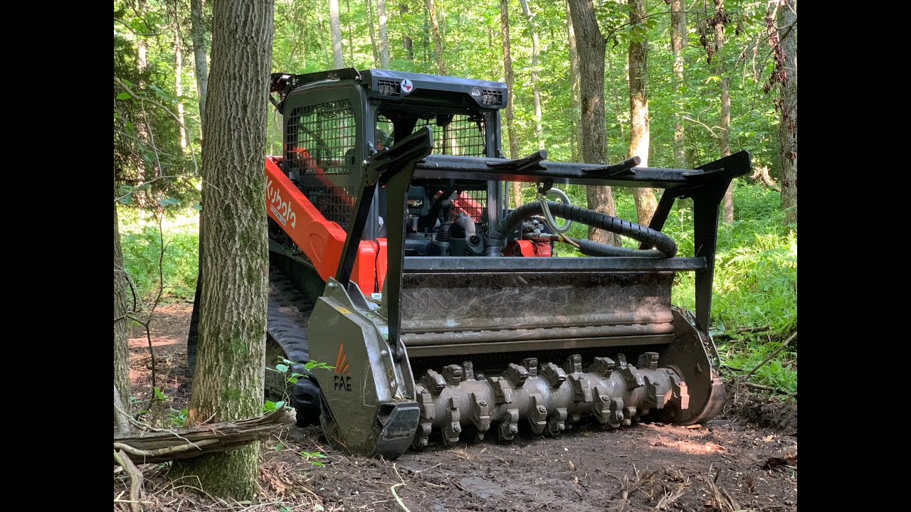 Creating a Forest Trail and I find a Hidden Treasure worth $600!