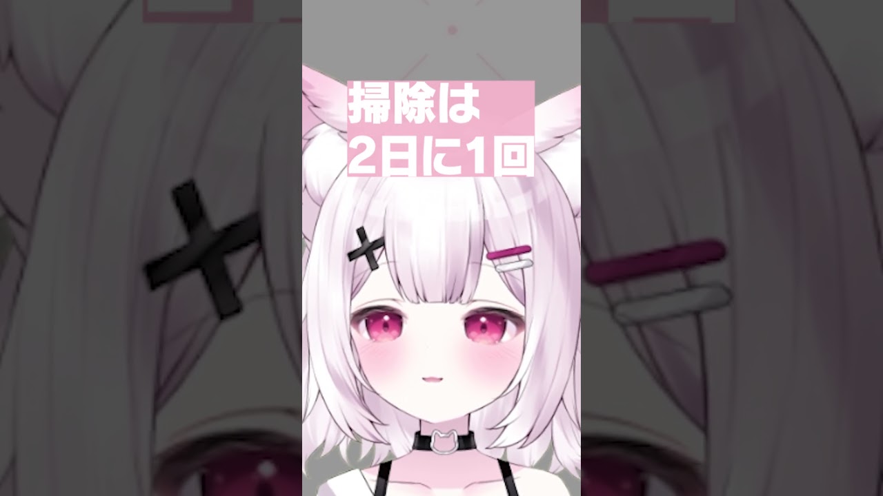 ちゃんとしている神の謎持論