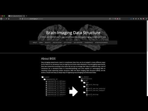 Lead-DBS BIDS walkthrough tutorial