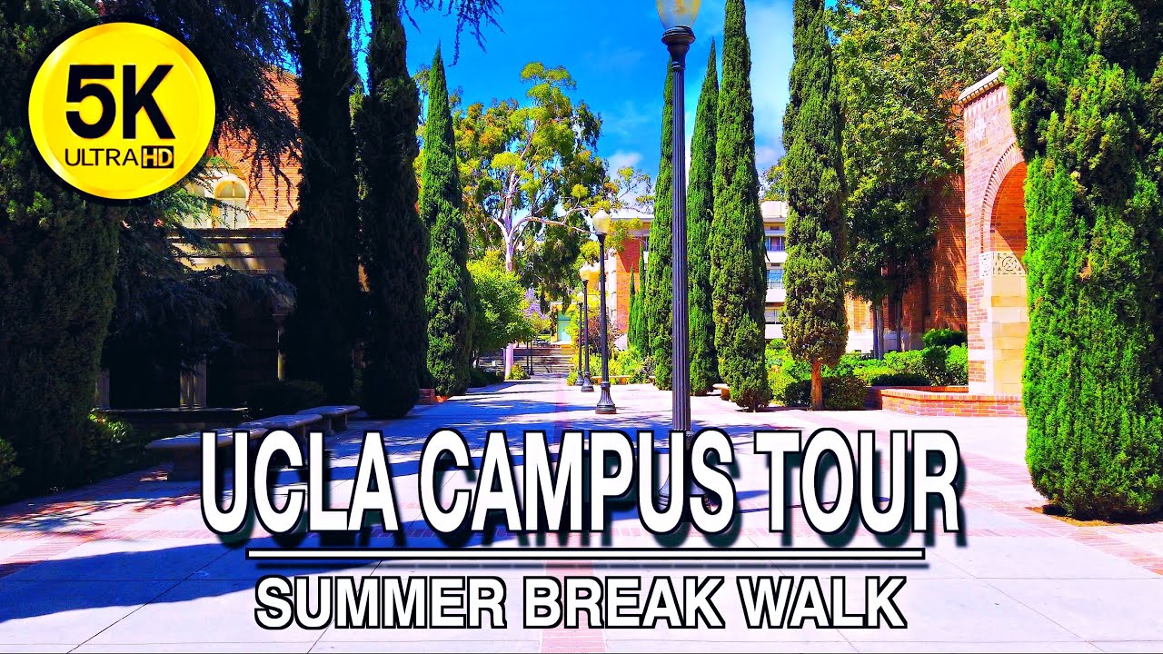 Los Angeles UCLA Summer Break Morning Campus Walk 【5k】60 FPS YouTube