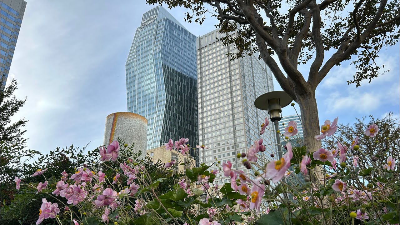 ✨ La Défense : Playgrounds for dreamers ✨
